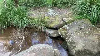 Peter Meadows Creek.