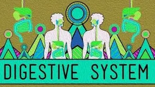 Human digestive system #biologyclass10th #cbse #upboardexam
