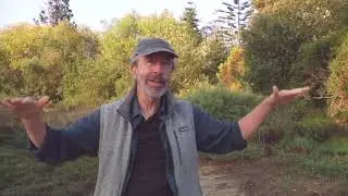 Lakeside Chat # 11: 12th St. Tidal Restoration with Joel Peter