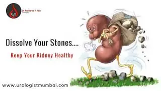 Kidney Stone Treatment In Mumbai | Kidney Stone Types | Kidney Stone Operation In Maharashtra, India