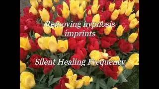 Removing hypnosis imprints Silent Healing Frequency