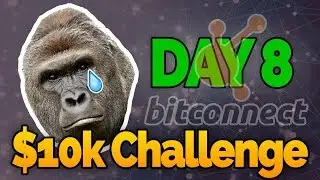 Day 8: $10k Bitconnect Challenge