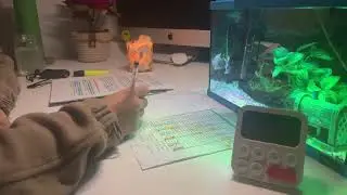 Study with me 2 hours live 🔴 I Background noise 🏘️