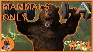 BEARS ARE BACK - MAMMALS ONLY - 14 - ARK The Island Challenge Playthrough Live Stream