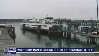 Coast Guard investigation determines what caused ferry to run aground last month | FOX 13 Seattle