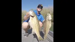 Lake Lanier Magdraft Swimbait and Bed Fishing Clip