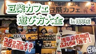 【豆柴】浅草店「豆柴カフェ遊び方大全 in 浅草店」