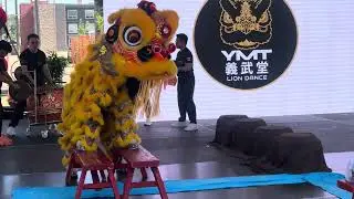 3rd CANADA NATIONAL LION DANCE CHAMPIONSHIP: Toronto YMT Dragon & Lion Dance (Team B)