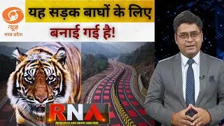 India&rsquo;s First &lsquo;Red Road&rsquo;: How NHAI Built a Wildlife-Safe Highway Through a Tiger Reserve | Explained