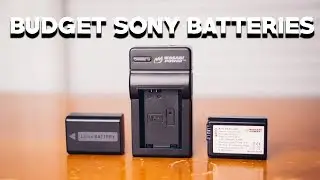 BUDGET SONY A6000 BATTERIES - Review of Wasabi Power Battery 2 Pack and Charger