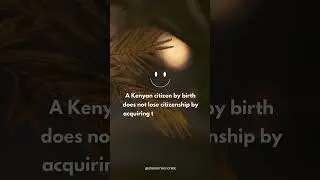 #Lawyers #Law Kenyanlaw #Kenya #brianmwenda #kenyanconstitution #Constitution #kenyanlawyersontiktok