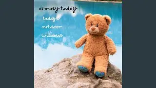 Teddy's Seaside Carnival
