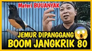 RAWATAN MURAI INI JANGAN DITIRU ‼️ NYERI 1 1 , MURAI SUPER BEJO