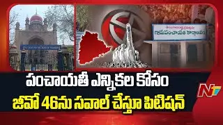 Petition Filed in Telangana High Court Over Challenging GO 46 for Panchayat Elections | NTV Telugu