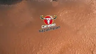 Взбодрись энергией Carabao