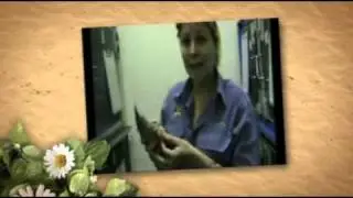 RSPCA Qld's Wildlife Ward