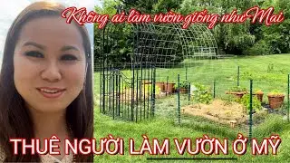 #125: THUÊ NGƯỜI LÀM VƯỜN TRỒNG RAU CỦ Ở MỸ, KHÔNG AI LÀM VƯỜN GIỐNG NHƯ MAI @DenMycungMai