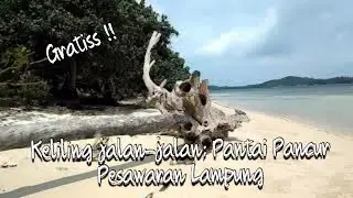 Jalan-jalan di Pantai Pancur !! Wisata pantai gratis | Lokasi ada di Pesawaran