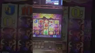 $5300 Handpay old school buffalo 5 cent machine