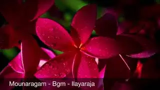 Mounaragam BGM - Ilayaraja - Meditation Music , Sleep Music , Relaxing Music