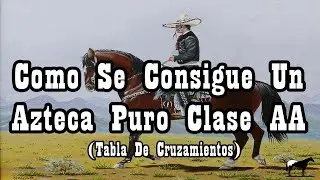 Tipos de Clases de Caballos Aztecas (Desde la A a la F)🐴-Del Cerro Soy