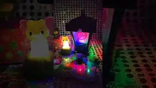 ✨ Lil Wish Lanterns ✨