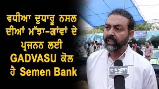 ਵਧੀਆ ਦੁਧਾਰੂ ਨਸਲ ਦੀਆਂ ਮੱਝਾ-ਗਾਂਵਾਂ ਦੇ ਪ੍ਰਜਨਨ ਲਈ GADVASU ਕੋਲ ਹੈ Semen Bank
