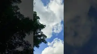 Clouds 🌿🤍🤌 #music #song #newmusic #usa #naturephotography #love #sky #viral #explore #sky