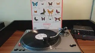 Super Grup Electrecord + Dan M&icirc;ndrilă - Let Your Love Flow [1978]