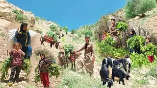 One Slip and It&rsquo;s Over | Nomads Cross Death Cliffs for Their Flock ⛰️🐐