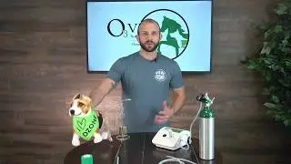 How to Ozone Limb Bag your pet