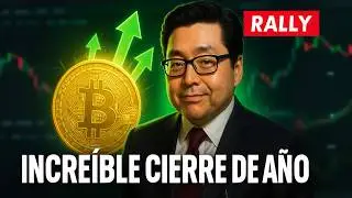 Tom Lee advierte: el SIGUIENTE RALLY de CRIPTO ser&aacute; el m&aacute;s GRANDE que has visto