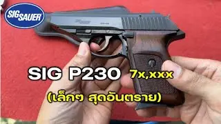 ปืน SIG P230 ปืนเล็กๆพกซ่อนต่อสู้