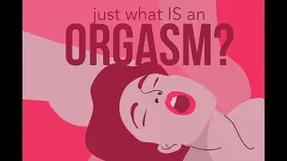 Orgasms: Types, How They Happen, And Complete Analysis Based On Scientific Research And Surveys