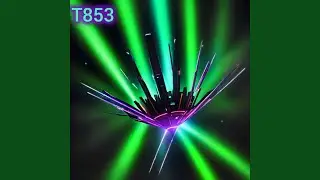 T853
