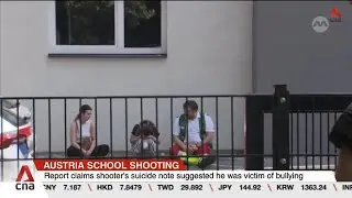 Austria's gun laws under scrutiny after country's deadliest mass shooting