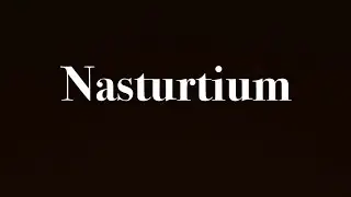 Nasturtium (short horror film)