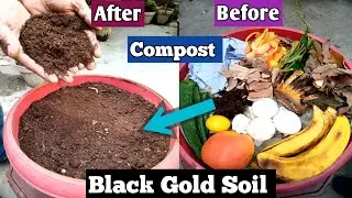 How To Make Compost At Home Fast & Easy  | Black Gold soil For plant | Compost in Hindi