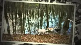 Echaw Swamp Jam...2014