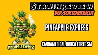 Der medizinische Sortenbericht - Pineapple Express - Cannamedical Indica Forte SM