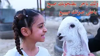 هلا يرباي ويرباي و بلعيد شردت طليتنه