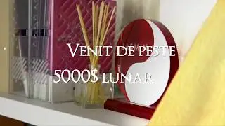 Cea mai profesionista agentie de videochat din Romania