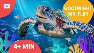 Goodnight Mr Flip! | Reef School Relaxation Wind-down Story for kids