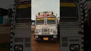 👑8955👑