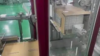 Automatic Case Packer SICIAUTO