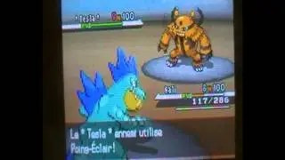 [1er Combat] Shiny Battle : L&eacute;gend vs DJ-Darkflo