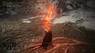 Elden Ring is Easy - [Malenia, Goddess of Rot] - 37th Attempt