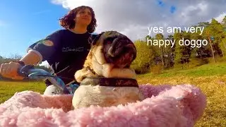 hurry up and get on the PUGCYCLE