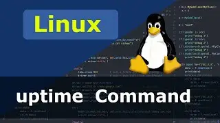 Linux Command &mdash; время безотказной работы