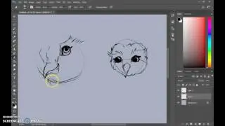 Basic Character design: Getting started with an Owl